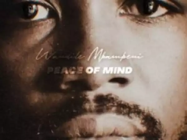 Wandile Mbambeni - Peace of Mind